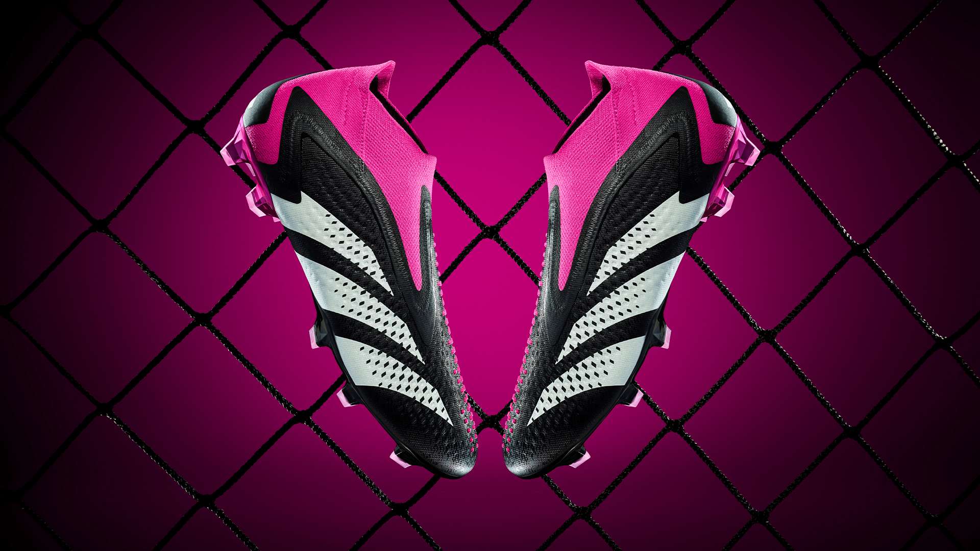 世界各地的 世界各地的